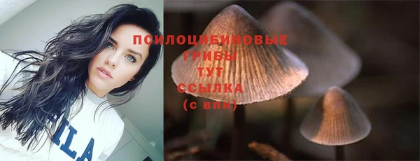 дмт Зерноград