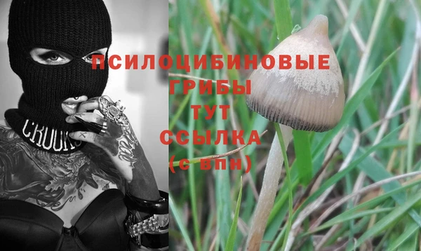 мяу мяу мука Инта